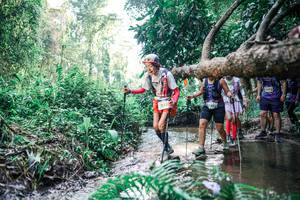 BIB: 
                            <button type="button" onclick="openModal(25460734)" class="btn btn-primary btn-sm float-right btn-popup" data-toggle="modal" data-target=".modal-high-quality">
                        <i class="fas fa-shopping-cart"></i> Add to Cart
                    </button>
                                            <button type="button" onclick="isThisMe(25460734, true)" class="btn btn-success btn-sm float-right btn-popup btn-isme hidden" data-toggle="tooltip" data-placement="bottom" title="นี่คือรูปของคุณใช่ไหม คลิกที่นี่เพื่อเอาเข้าอัลบั้ม">
                        <i class="fas fa-plus"></i> Add to album
                    </button>
                    <button type="button" onclick="isThisMe(25460734, false)" class="btn btn-warning btn-sm float-right btn-popup btn-isnotme hidden">
                        <i class="fas fa-ban"></i> Remove from album
                    </button>